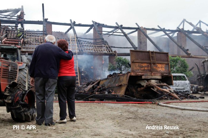 incendio stupinigi ( ph andrjea retsek / apr news