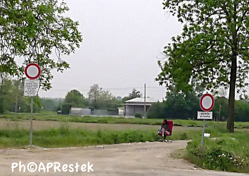  ph © apr news andreja restek