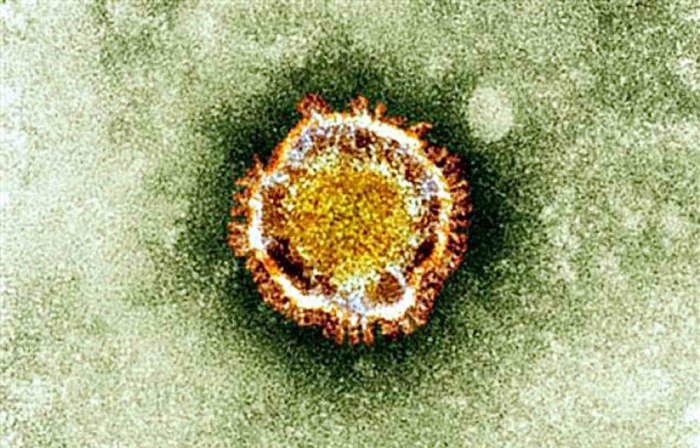coronavirus