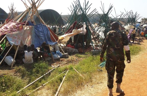 00261280-57cf55e55f4d0ad9d8ca1e3dc41f663a-arc495x324-w495-us1