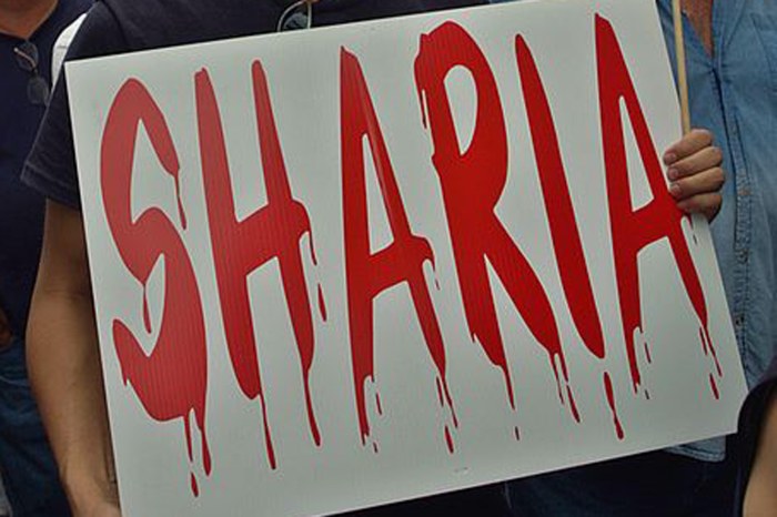 700px-Ground_Zero_Mosque_Protesters_11