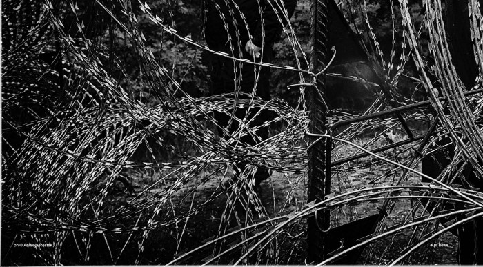 refugee Hungry - Serbia border , ph © Andreja Restek