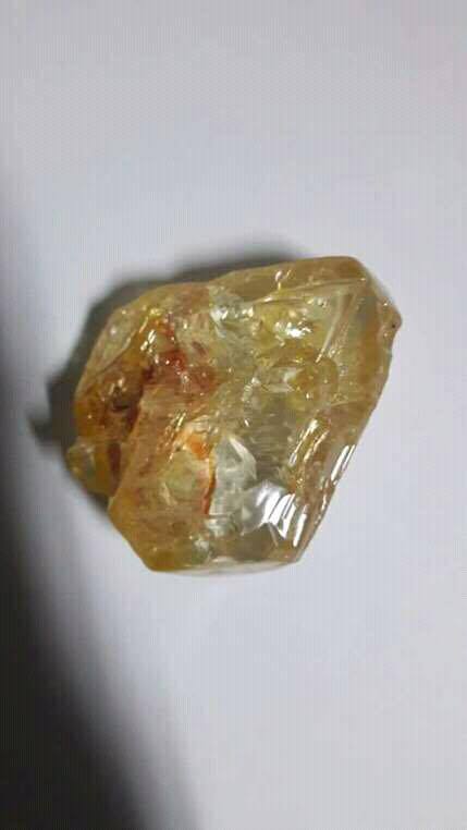 18600903_10213270750271594_510307632_n