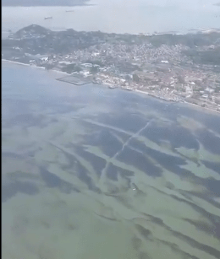 Schermata 2018-04-08 alle 16.13.53